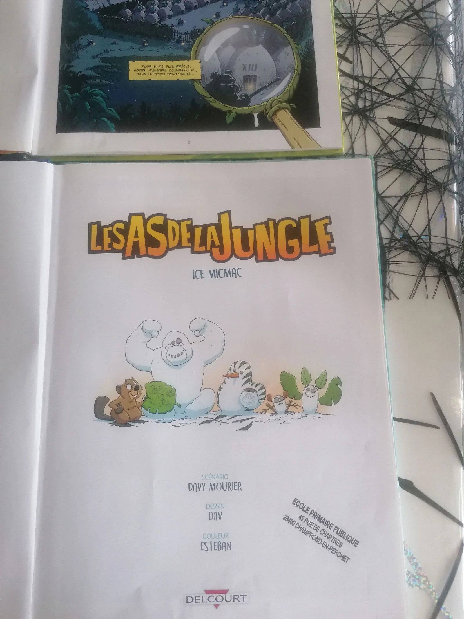 Lote de 2 BD Os As da Selva 📚 – photo 14